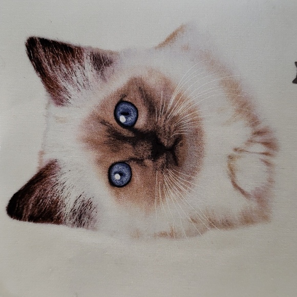 Birman Cat Iron On White Cat Fluffy Cat - Picture 6 of 6
